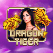 Dragon Tiger bingo plus live casino