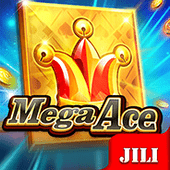 Mega Ace bingo plus slot