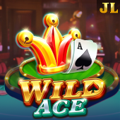 Wild Ace bingo plus hot